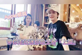 带你走近迷你哈士奇上篇