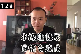 #112 水族活性炭也看怎么用，用错了鱼可能烧尾视频封面