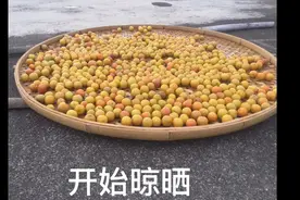 虎哥晒的李子干，做法简单，口感非常棒