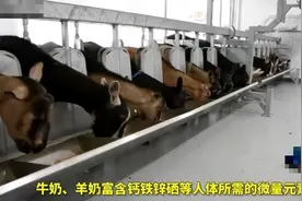 印度10岁男孩喝狗奶上瘾 周围流浪狗都被他吸怕了 见到他转身就跑视频封面