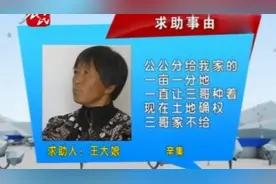 农民频道帮大姐，石家庄市辛集市兄弟之间为一亩地确权争吵