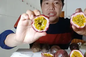 今天我交大家用最实用，最简单的方法去辨别一个百香果的好坏。视频封面
