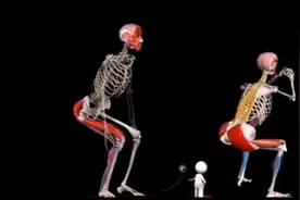 下蹲动作中参与肌肉有哪些？如何做才正确？视频告诉你