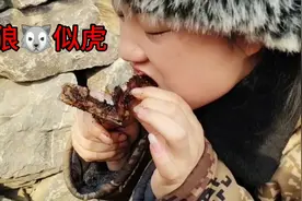 原生态野外烧烤，蒙古姑娘做的草原美食羊排！大口吃肉真过瘾视频封面