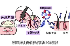 按摩头皮真的能生发吗？