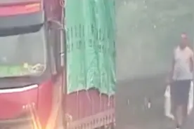 真顺手牵羊！货车司机高速路上停车抓羊，被民警逮个正着视频封面