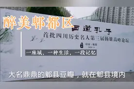 成都西控区域的郫都区，为什么定位为天府水源地、电子信息城？