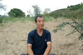 花椒价格怎么样？一位农民分析花椒种植的前景，值得听视频封面