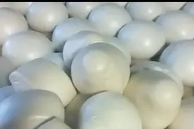 蒸馒头醒发很关键，师傅教你做老面馒头，快速醒发，最佳醒发程度视频封面