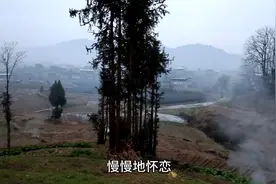 烧了一天的火灰，收工时欣赏一首《把孤独当作晚餐》，句句扎心视频封面