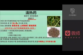 执业中药师专业知识二——鸦胆子