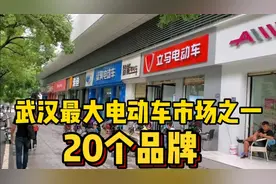 小伙来到武汉最大电动车市场之一，卓刀泉市场，20个品牌竞争激烈视频封面