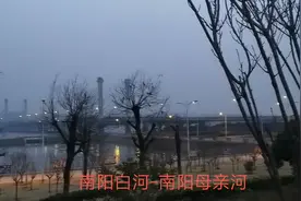 夜幕下的南阳白河视频封面