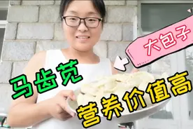 农村马齿苋长的遍地都是，野菜大包子营养价值又高，不吃可惜了视频封面