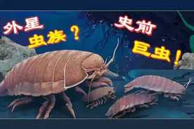外星虫族？1.6亿年史前巨虫，深海中的活化石视频封面