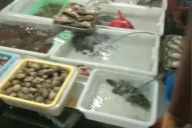 大家进来看看严新今天出海抓的大货买了多少，赚了多少钱视频封面