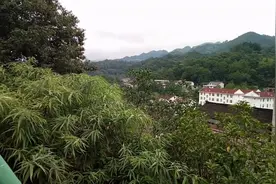 汉中市南郑区小南海镇是个好地方，山清水秀，人杰地灵！视频封面