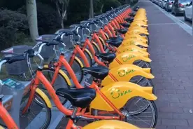 莆田街头共享单车一排排，出行首选绿色健康，真的很方便视频封面