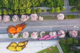 纯音乐《梁祝》女子十二乐坊视频封面