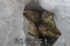 白菜烂掉了还能吃吗？疫情期间出不去，教你一招烂白菜怎么吃视频封面