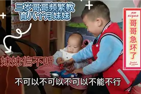 三岁哥哥频繁教育八个月妹妹，妹妹偏不听，这会能理解爸爸妈妈啦视频封面