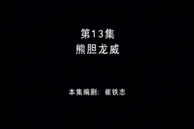 丛林总动员第十三集