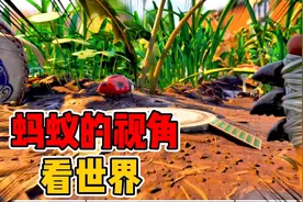 地面生存：用蚂蚁的视角看世界，原来这么壮观！视频封面