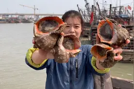 渔村吃货美女，教你一斤一个的大海螺如何做更美味，照着做就对了