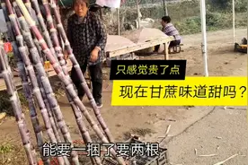 虞城小伙10元买了两根甘蔗，没到季节会甜吗？