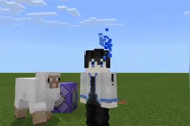 我的世界假装退出(加入)游戏指令