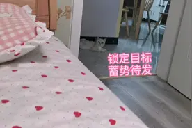 我:你是不是觉得你很幽默