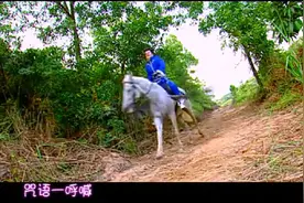 巴啦啦小魔仙:第一集 神秘的八音盒  又胖又凶的老板娘居然怕青蛙视频封面
