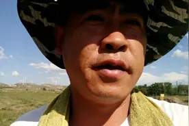 中药材黄芩开始收种子视频封面