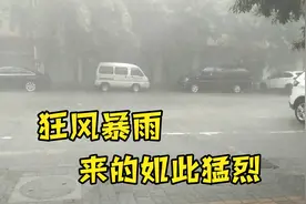 8月12日坐标河北保定高阳县大暴雨，长这么大没见过如此大的雨。视频封面