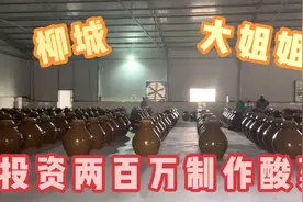 柳城大姐姐在农村投入200多万，建设2000多平米厂房来制作酸菜！视频封面