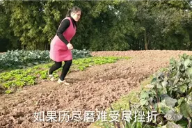 广西妹演唱一首男人歌曲，这霸气的声音，二娃自叹不如！