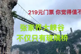 张家界有个大峡谷景区，里面除了著名的玻璃桥，还有其他美景视频封面