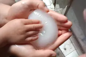 小小一张退热贴，泡水之后竟然是这样