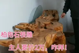 百年的柏抱石根雕茶台，根雕中的极品，2万元出售，咋样！视频封面