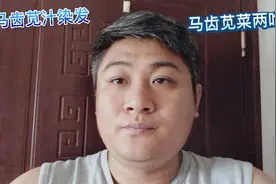 大营子挖马齿苋做两种吃法味道美味野菜汁利用起来染发看效果咋样