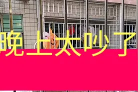 住握手楼便宜，就是晚上太吵了！每天都要拉着窗帘才行！视频封面