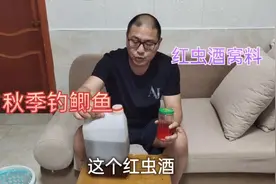 红虫泡酒自制窝料，味型适合秋钓鲫鱼，十分钟内发窝，用七八年了视频封面