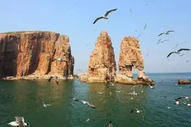 青岛有个小青岛！岛外小岛！海上仙山！世外桃源！视频封面