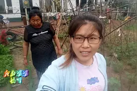 吃一半扔一半的小园菜是啥？农民一块儿逮了俩，包出滚圆大饺子！视频封面