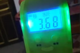 网上买的比利时野兔，商家很给力，过年后再买几只视频封面