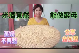 胡妈妈酵子后续来了，米酒做酵子详细全过程，看完你还不会做？