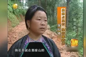 换花草分男女草，要配合男井女井煎药，草药只有八月十五才能采摘视频封面