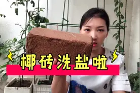 椰砖处理好了也是高级营养土，阳台种菜养花好搭档