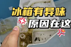 你知道吗？冰箱后面有个机关，不及时清理又脏又臭，是异味根源视频封面