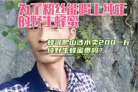 为了粉丝能喝上纯正野生蜂蜜，蜂哥爬山涉水。卖200一斤贵吗？视频封面